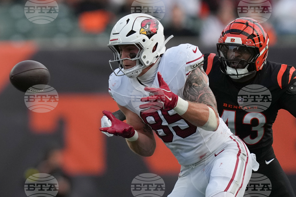 Cardinals Bengals Football