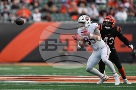 Cardinals Bengals Football