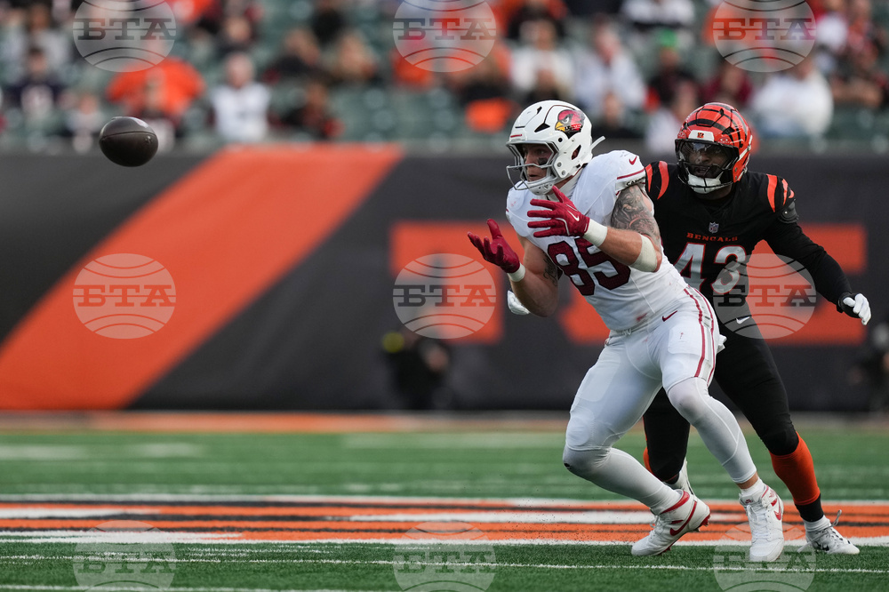 Cardinals Bengals Football