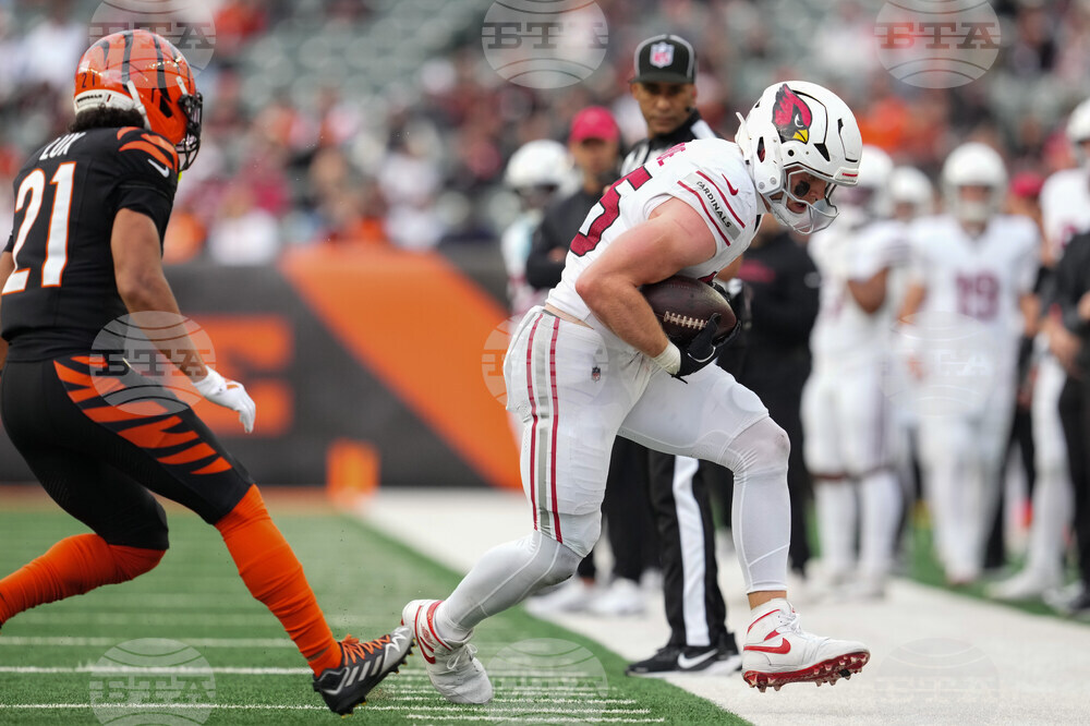 Cardinals Bengals Football