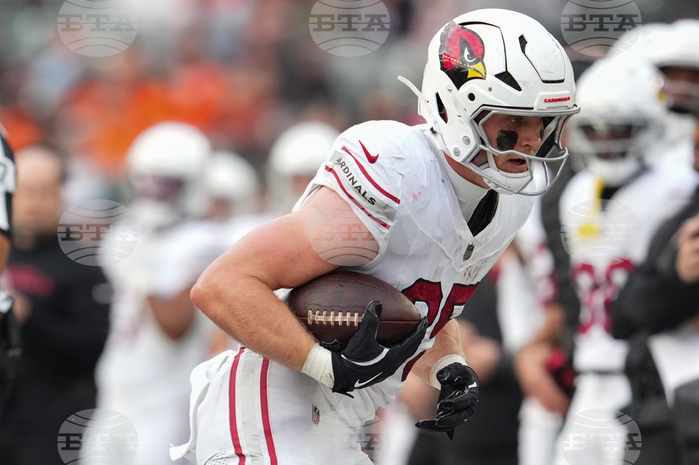 Cardinals Bengals Football