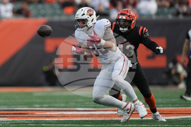 Cardinals Bengals Football