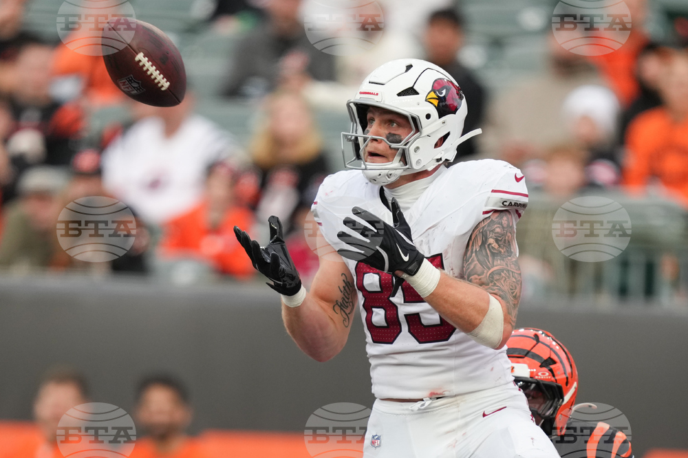 Cardinals Bengals Football