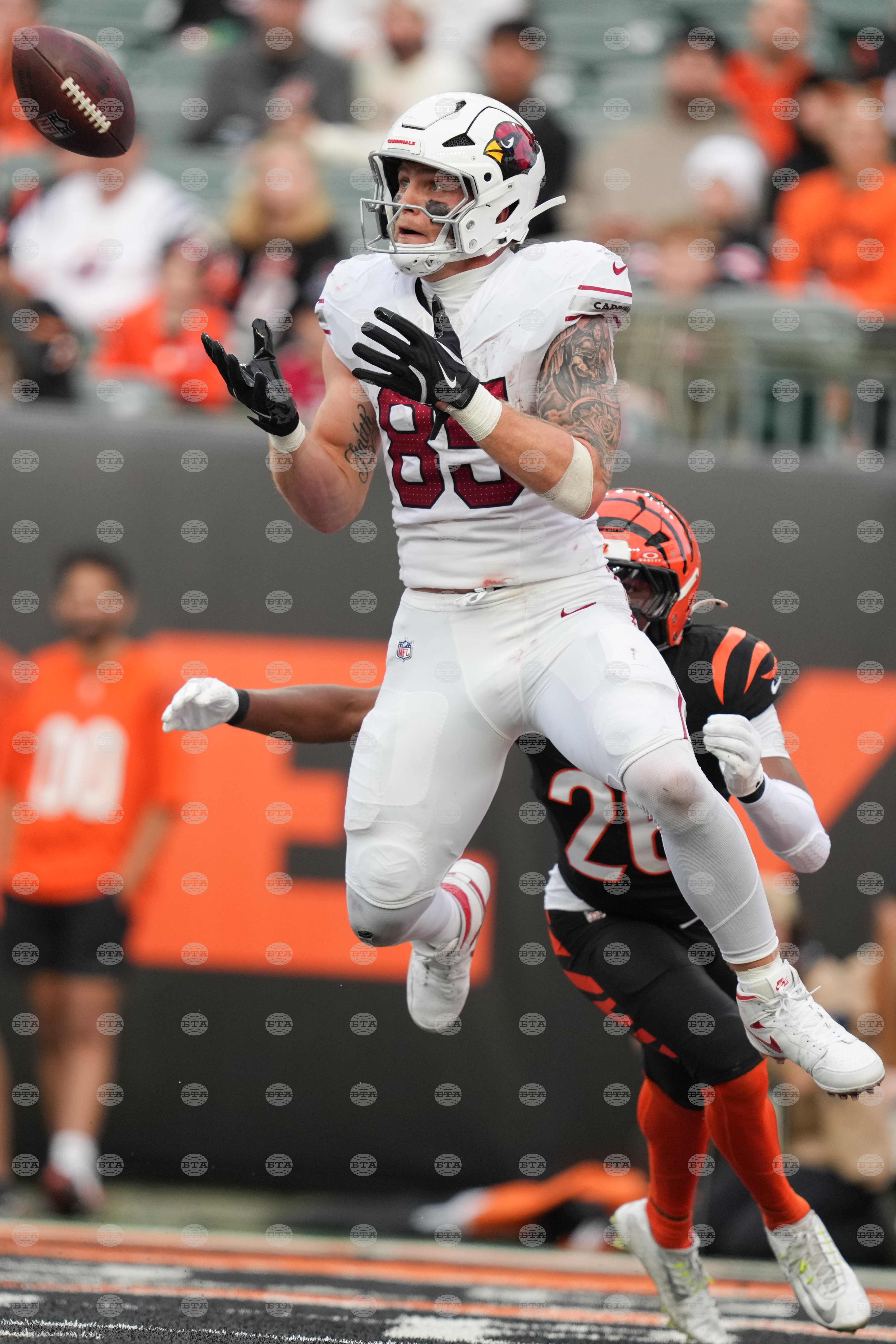 Cardinals Bengals Football