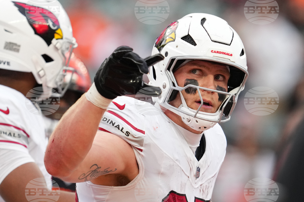 Cardinals Bengals Football