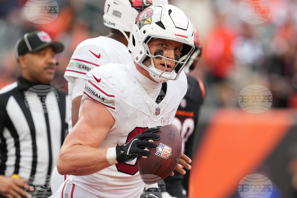 Cardinals Bengals Football