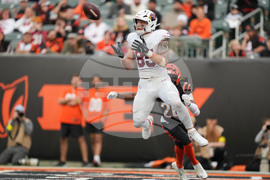 Cardinals Bengals Football