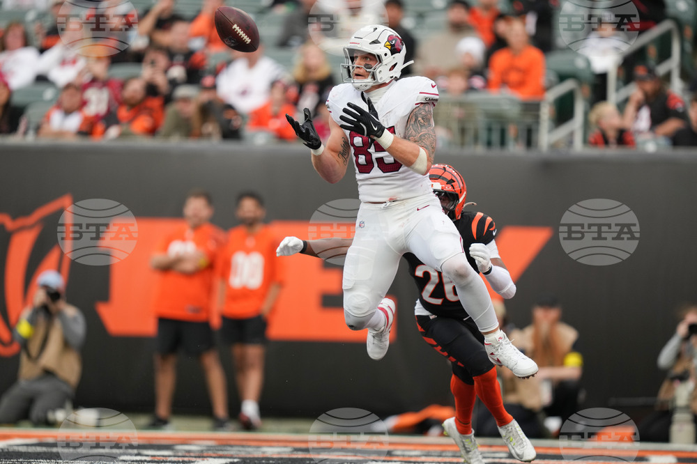 Cardinals Bengals Football