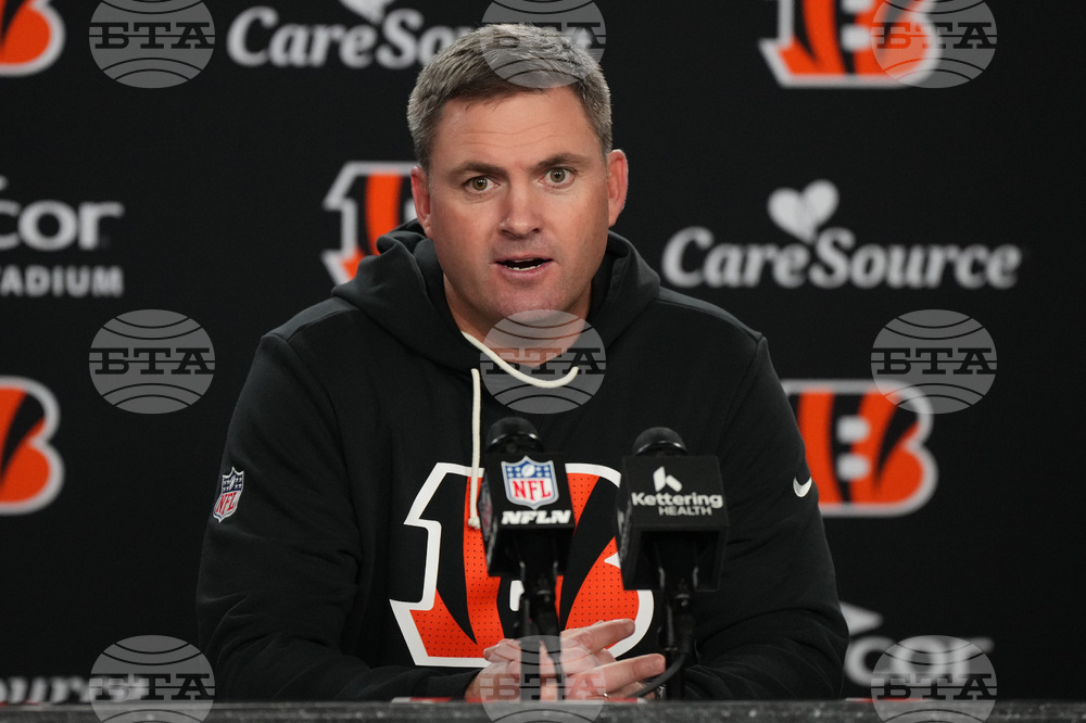 Cardinals Bengals Football