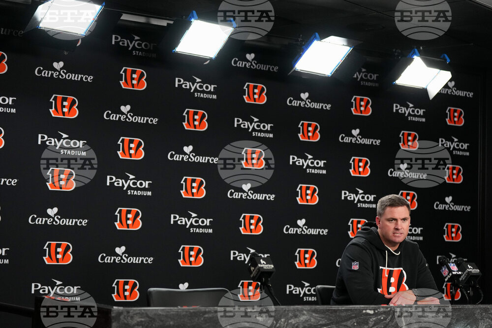 Cardinals Bengals Football