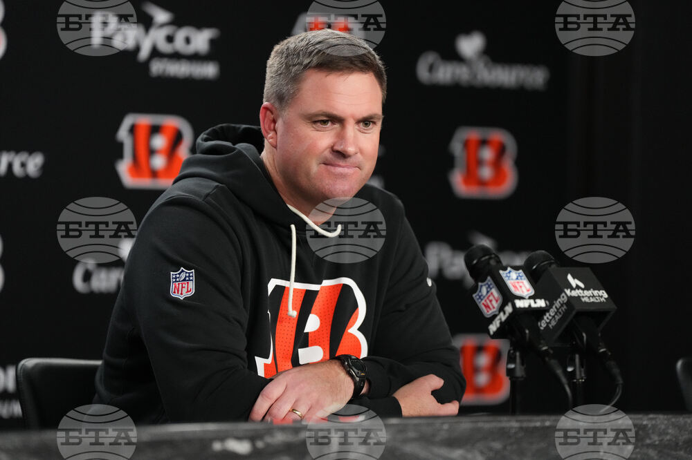 Cardinals Bengals Football