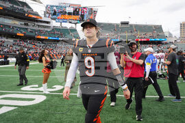 Cardinals Bengals Football