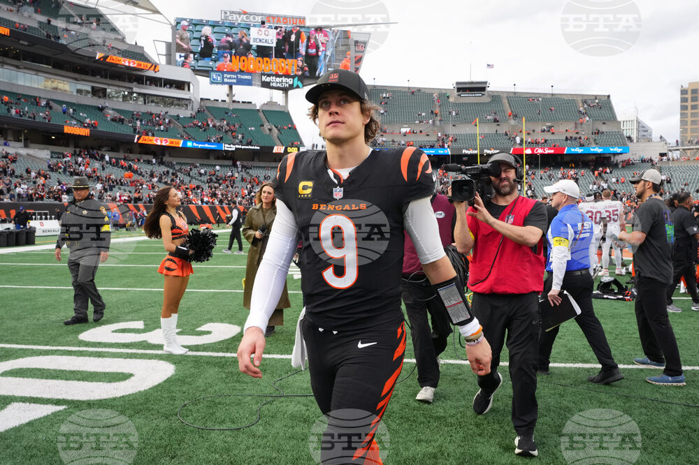 Cardinals Bengals Football