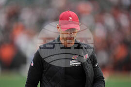 Cardinals Bengals Football