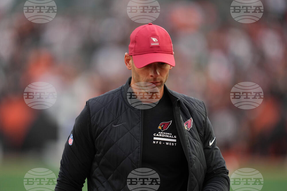 Cardinals Bengals Football