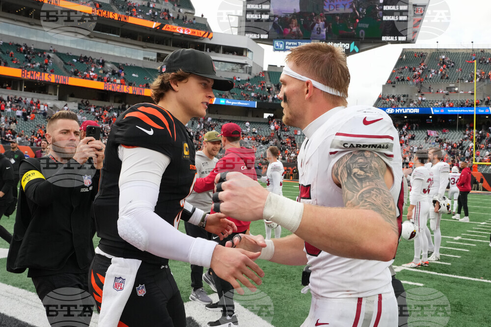 Cardinals Bengals Football