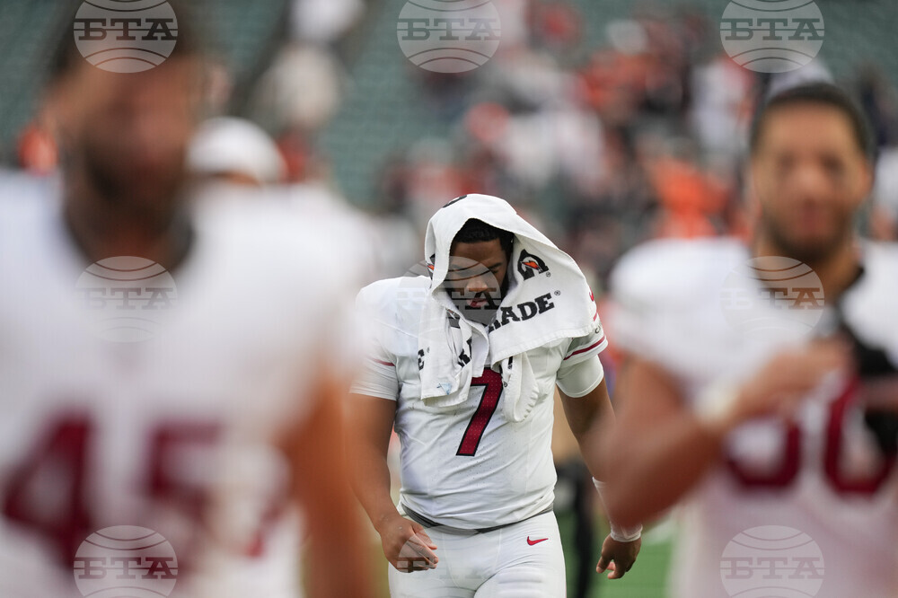 Cardinals Bengals Football