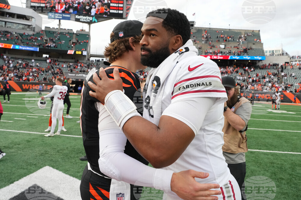 Cardinals Bengals Football