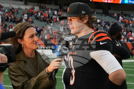 Cardinals Bengals Football