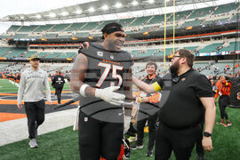 Cardinals Bengals Football