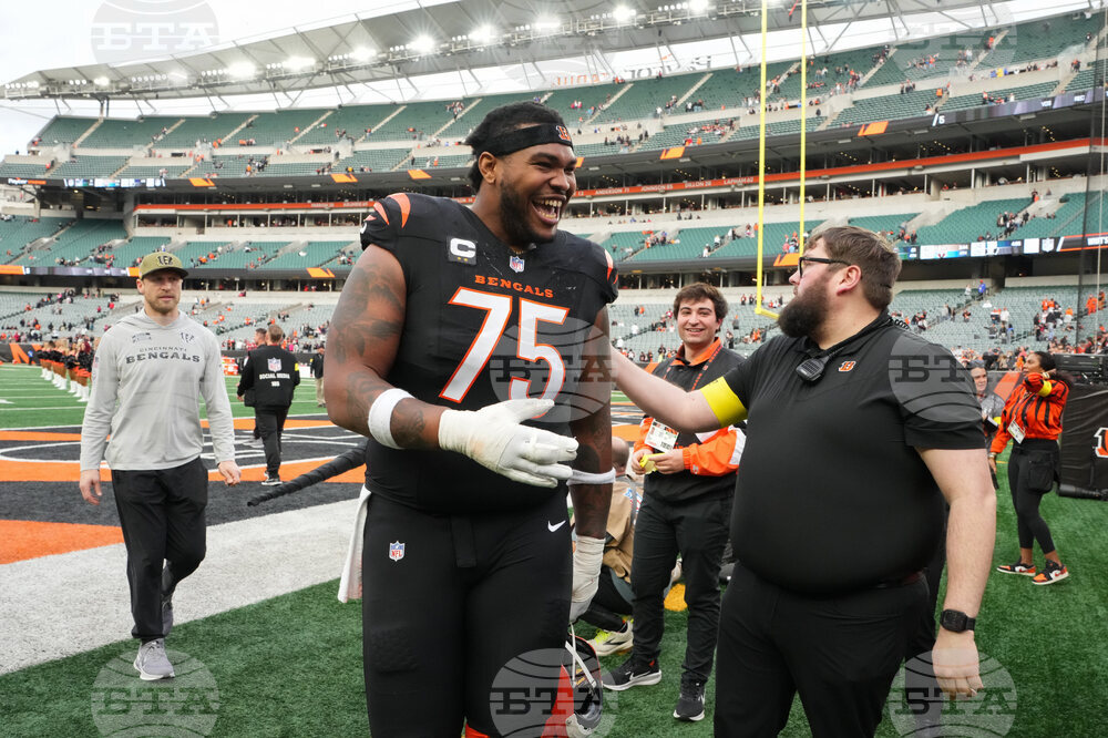 Cardinals Bengals Football