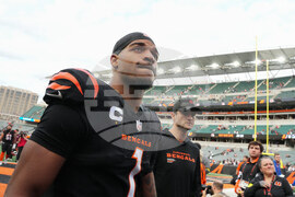 Cardinals Bengals Football