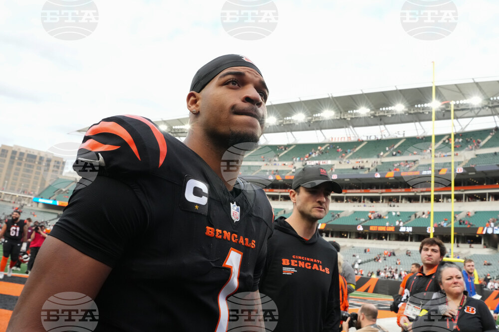 Cardinals Bengals Football