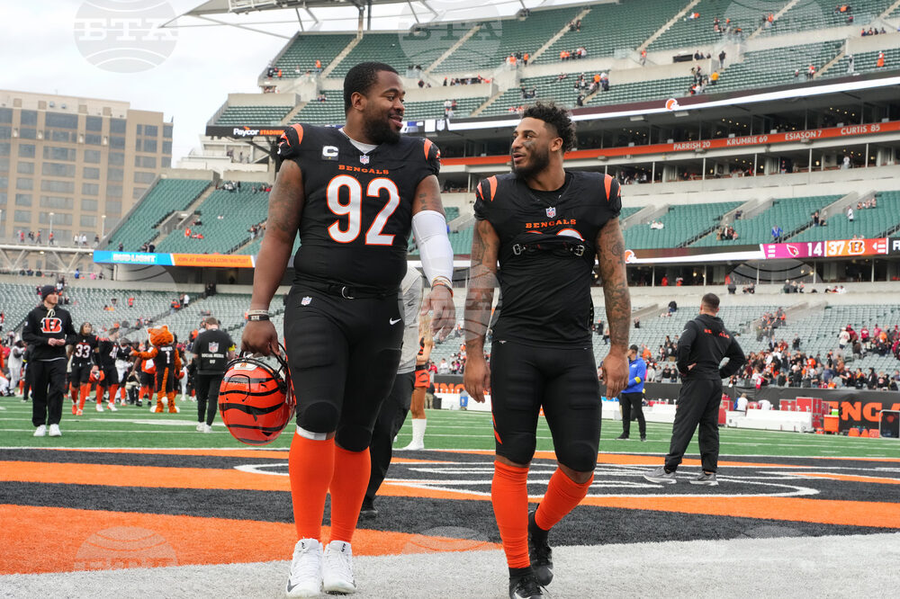 Cardinals Bengals Football