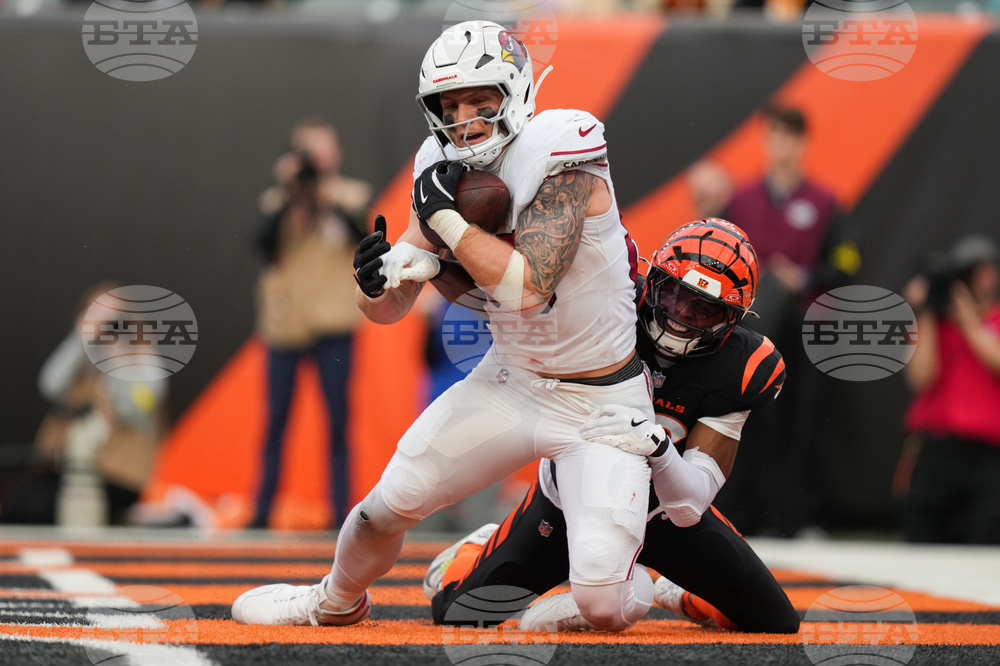 Cardinals Bengals Football