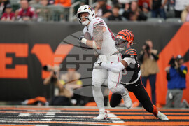 Cardinals Bengals Football