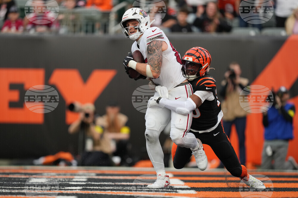 Cardinals Bengals Football