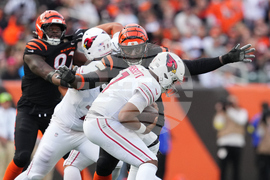 Cardinals Bengals Football
