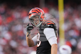 Cardinals Bengals Football