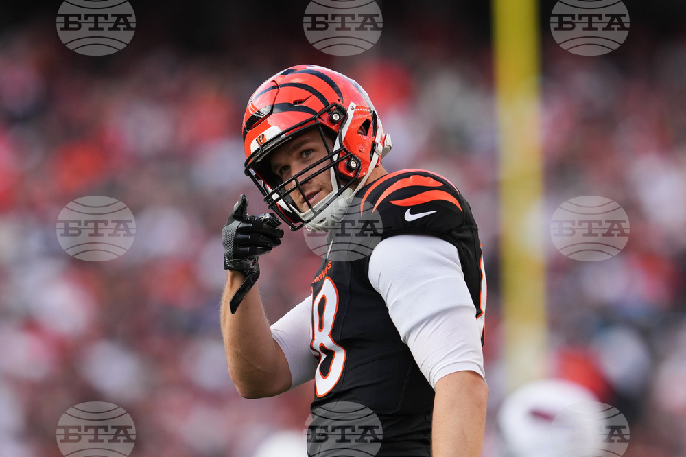 Cardinals Bengals Football