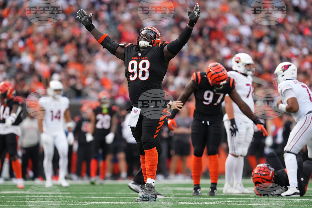 Cardinals Bengals Football