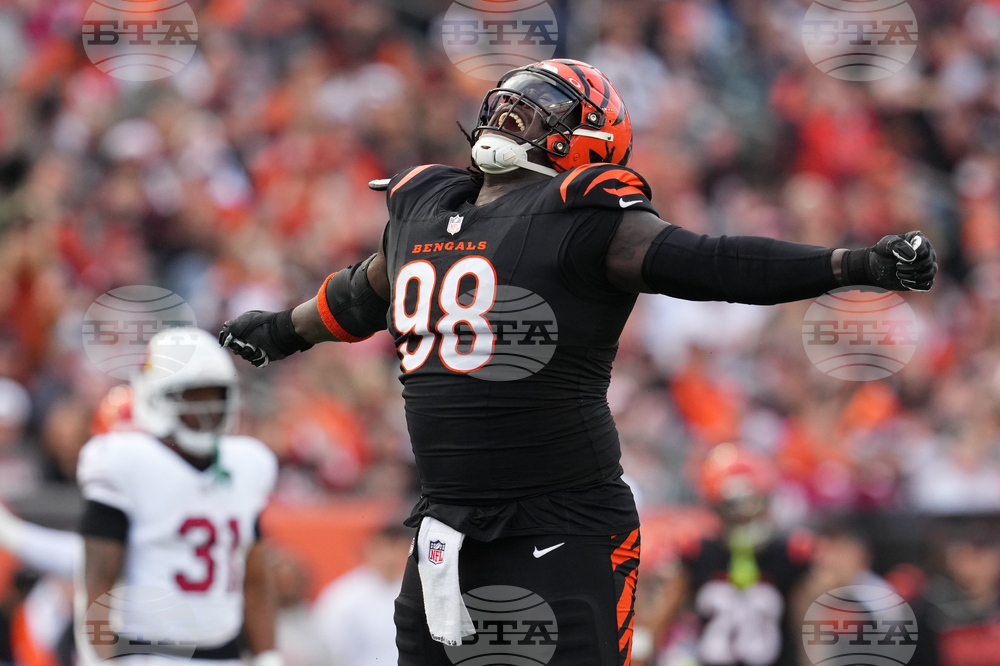 Cardinals Bengals Football