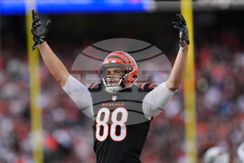 Cardinals Bengals Football