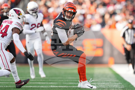 Cardinals Bengals Football