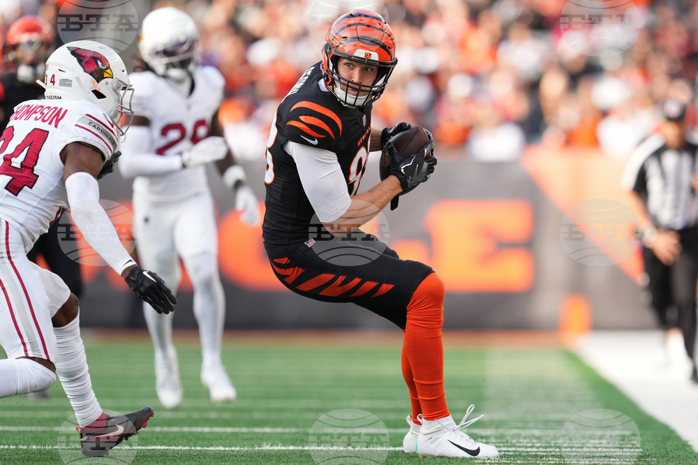 Cardinals Bengals Football