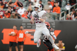APTOPIX Cardinals Bengals Football