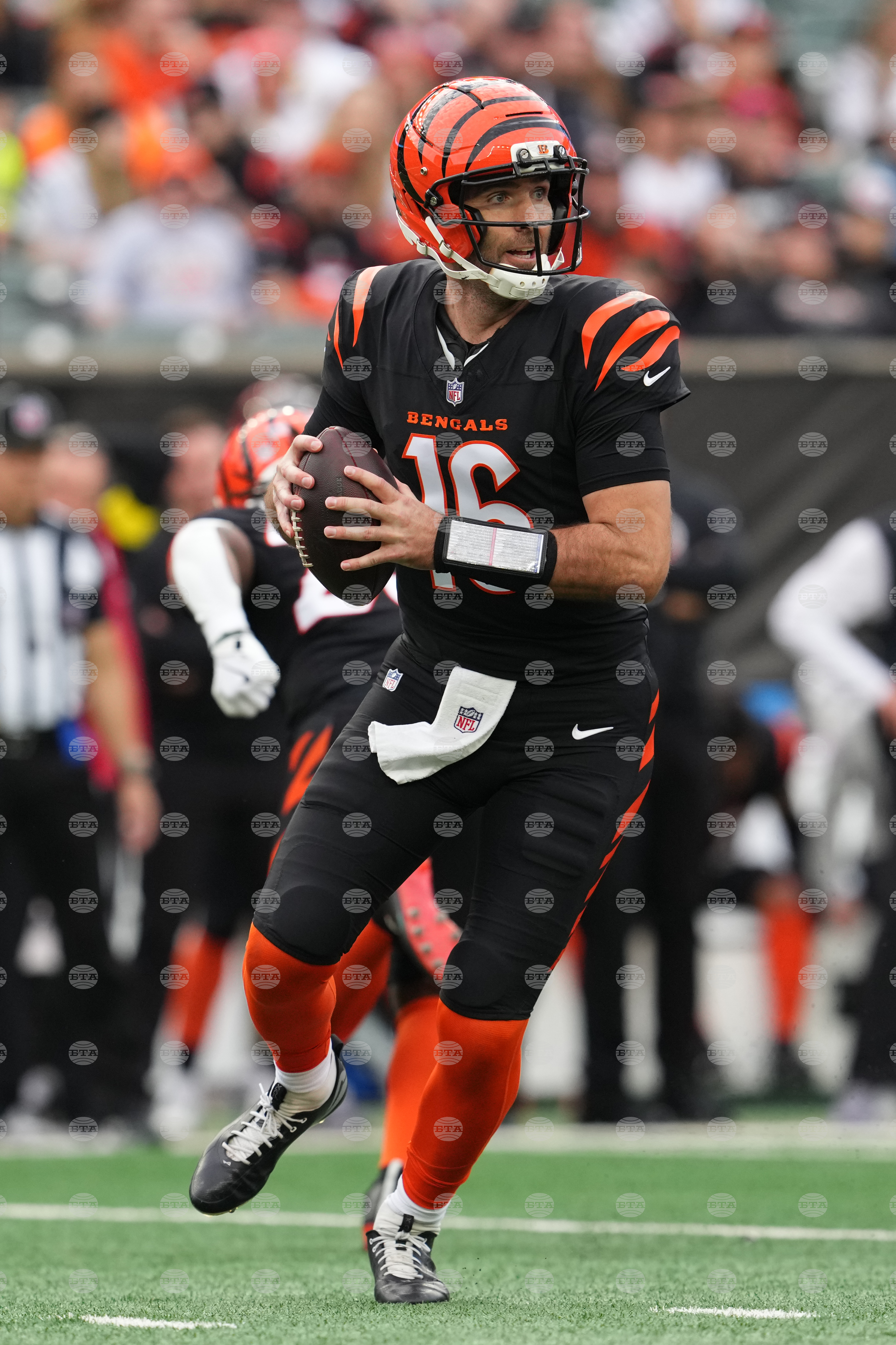 Cardinals Bengals Football