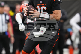 Cardinals Bengals Football