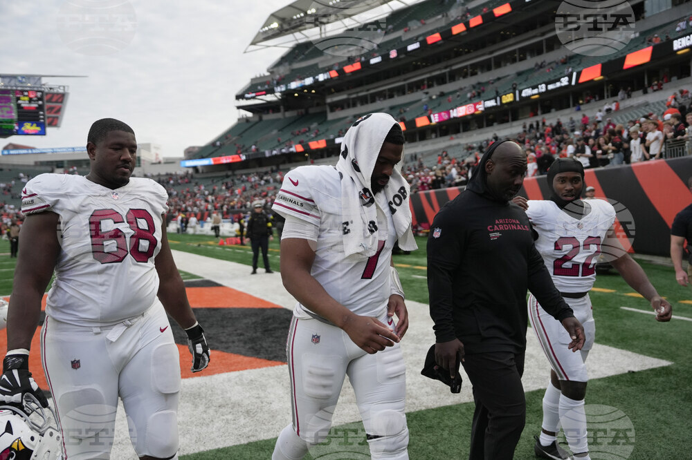 Cardinals Bengals Football