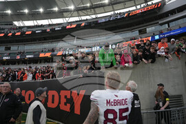 Cardinals Bengals Football