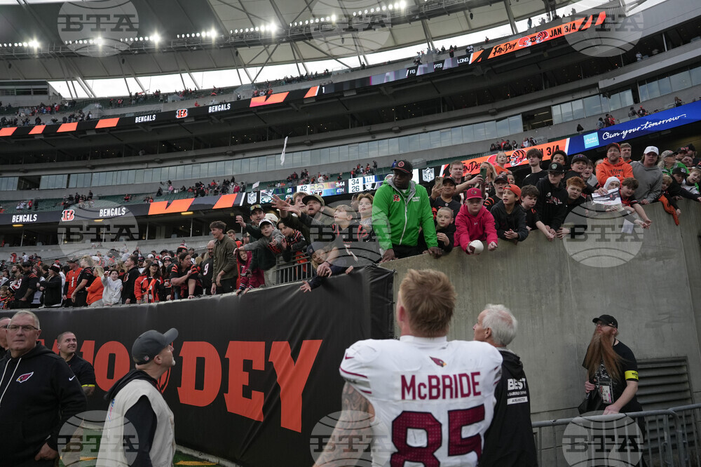 Cardinals Bengals Football