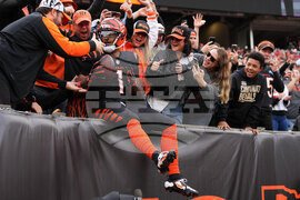 APTOPIX Cardinals Bengals Football