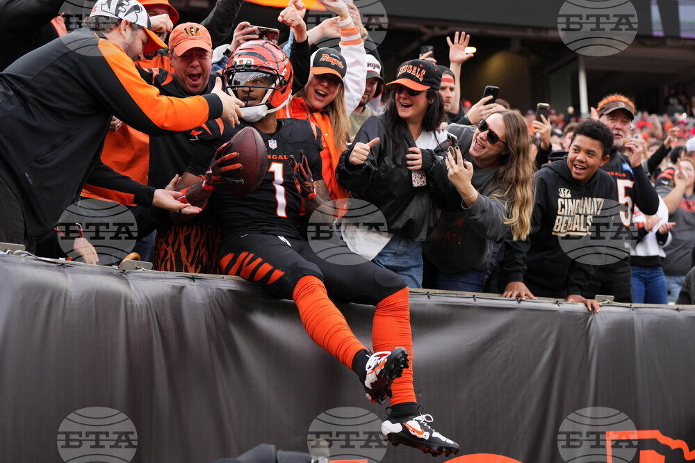 APTOPIX Cardinals Bengals Football