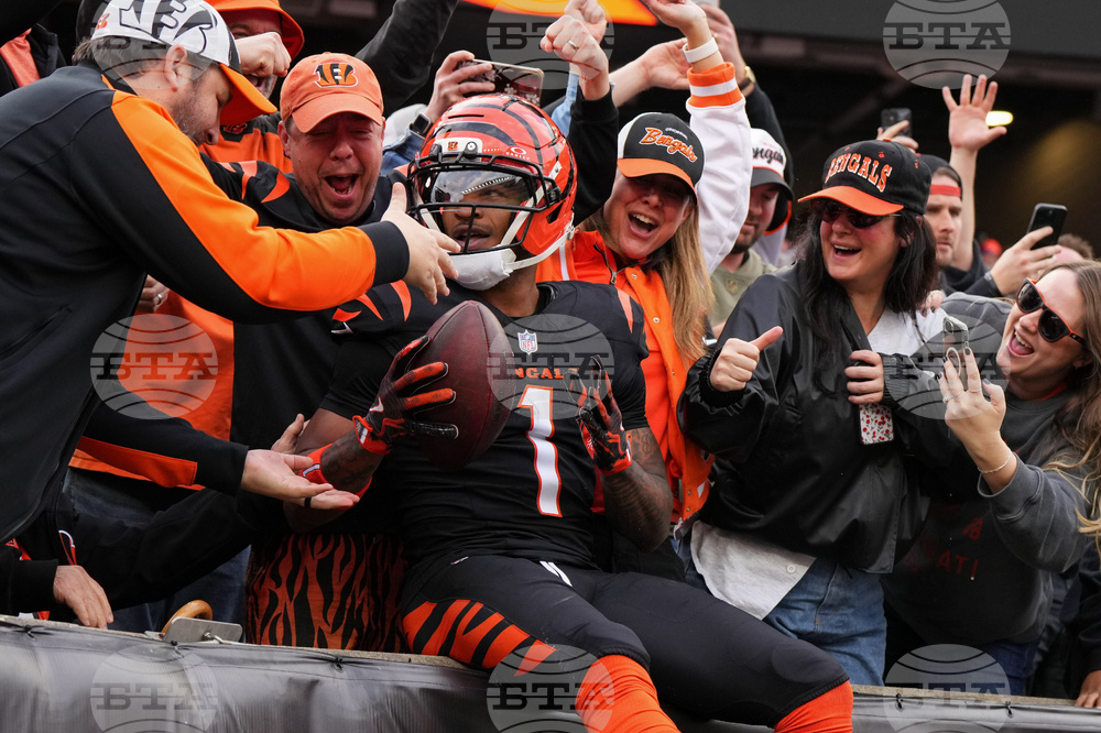 Cardinals Bengals Football