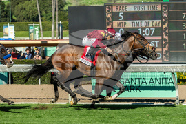 Santa Anita Horse Racing