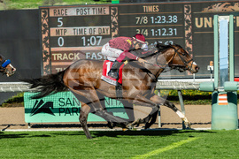 Santa Anita Horse Racing